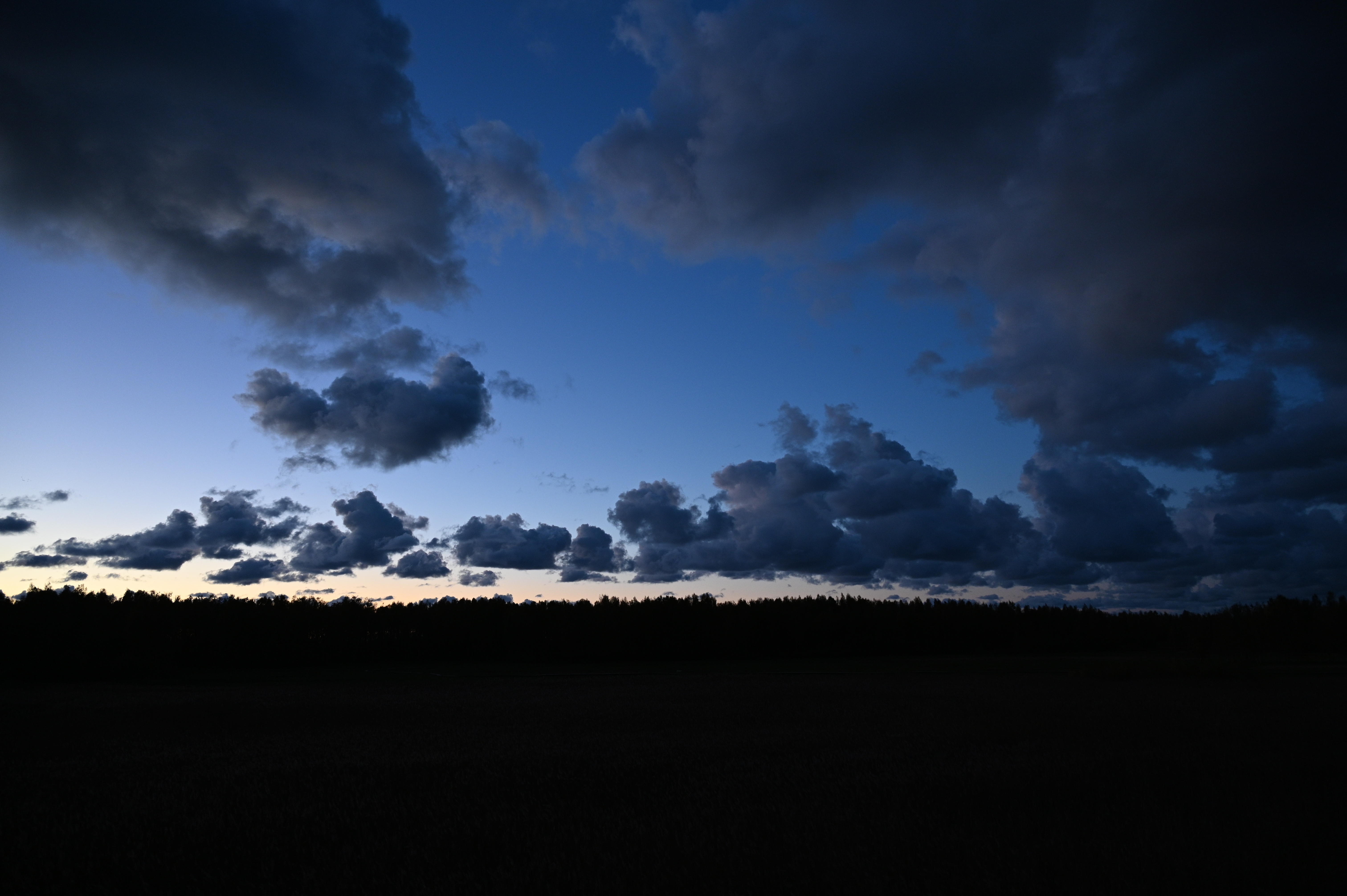 2025/10/18 - walk/DSC_0633.JPG